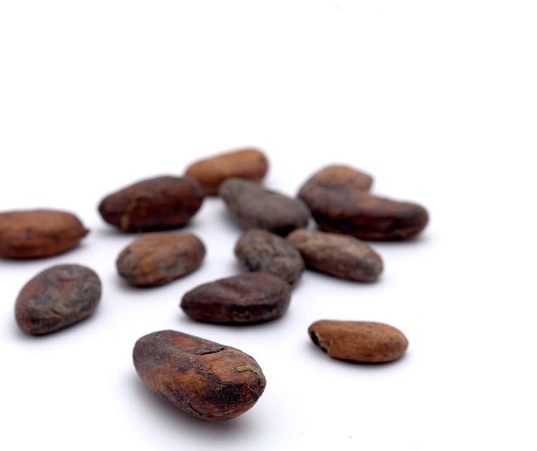 Gerkens Cacao: part of the Cargill Cocoa & Chocolate family Beyond our wide range of powders for every application, we offer customers a whole range of options when it comes to cocoa and chocolate.