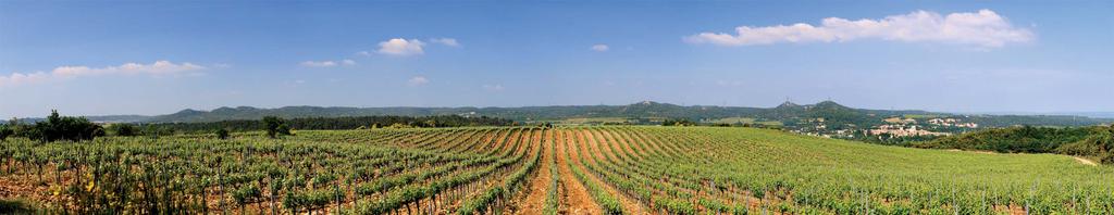 Lirac, an iconic Côtes du Rhône terroir since 1947 For almost sixty five years, the terroir of Lirac has been an AOC.