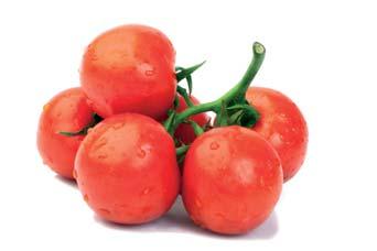 Fruit size: 250-300 grams*, crispy structure, deep red color, very good shelf-life and firmness. Tmv, V, F1-2, N, Cr, C5. Indeterminate plum TY tomato for growing in greenhouses or in nethouses.