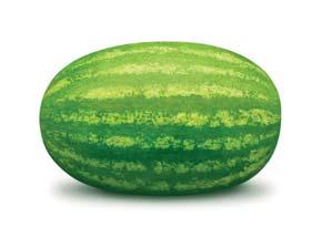 Cucurbits Watermelons Electra Fruit Shape: Oval Oval seedless type watermelon, Triploid. Highly vigorous plant with very healthy vegetation.