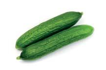 Cucurbits Cucumbers Zucchini Durandt Fruit type: Dutch Very productive long cucumber variety with good settings on the main stem and on