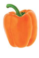 Fantasy Fruit shape: Blocky Orange blocky pepper for growing in greenhouses or in net-houses. Strong plant with medium-long internodes, high yield.