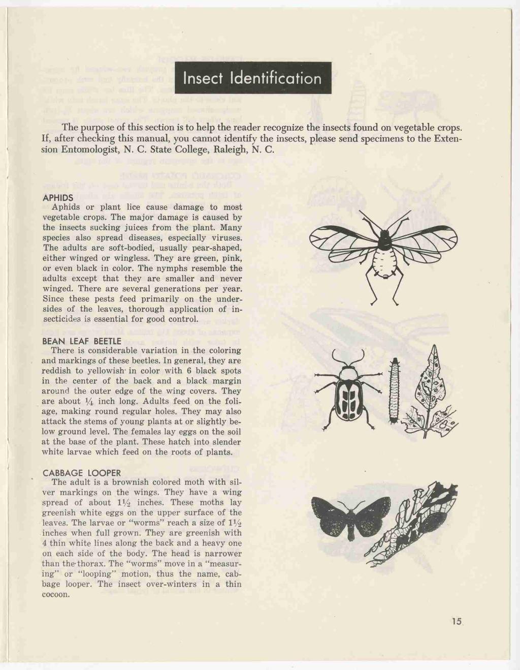 Insect Identification The purpose of this section is to help the reader recognize the insects found on vegetable crops.