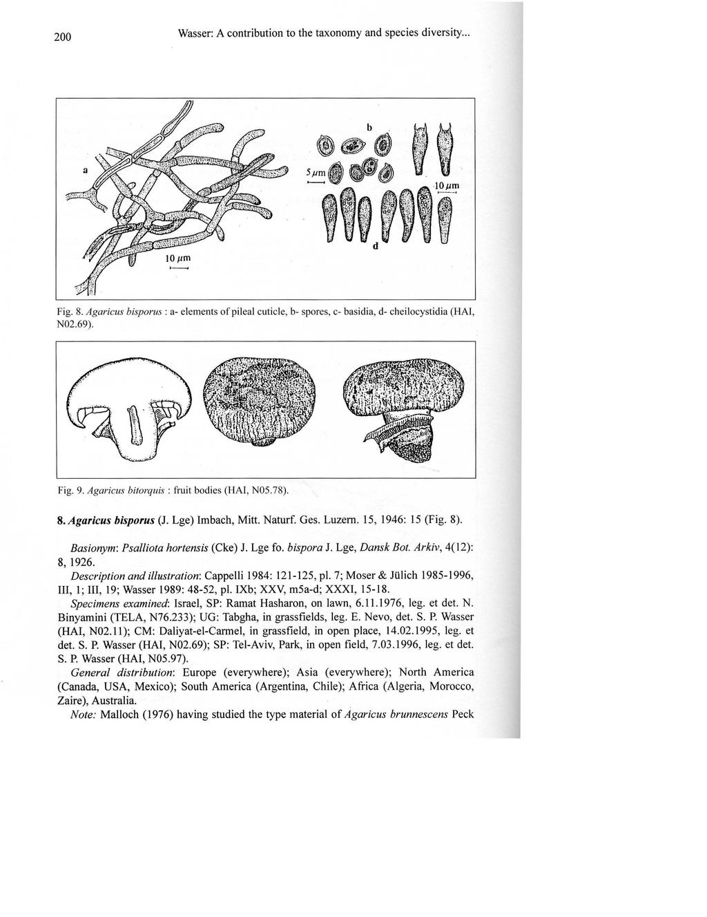 200 Wasser: A contribution to the taxonomy and species diversity... Fig. 8. Agaricus bisporus : a- elements ofpileal cuticle, b- spores, c- basidi a, d- cheilocystidia (HAI, N02.69). Fig. 9.