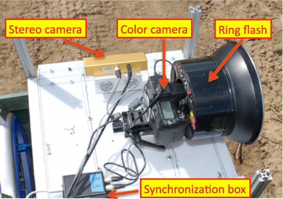 Both cameras were triggered by external pulses to keep the cameras in synchronization.