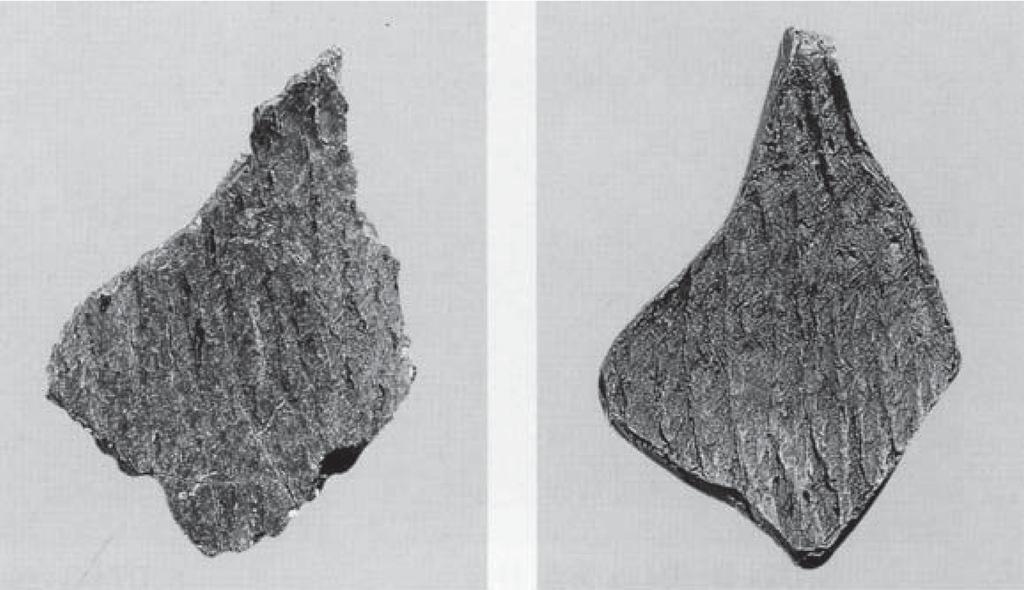 32 asian perspectives. 49(1). spring 2010 Fig. 3. Cord-mark as remains of pottery formation process.