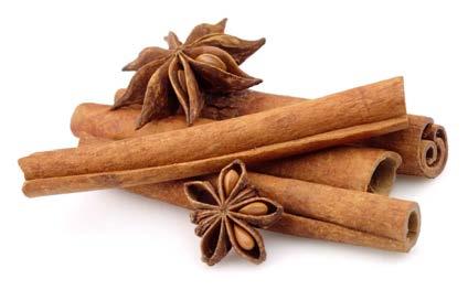 1 Product Descriptions 1. Cinnamon Long before the Dutch dominated the Cinnamon trade up before the 1800s, there are two types of Cinnamon generated by two different plants.