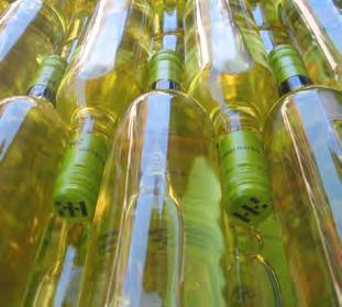 Pinot Blanc, Pinot Gris, Chardonnay and Pinot Noir represent the lion s share of the estate. Add the white varieties of Sauvignon Blanc, Gutedel and Müller-Thurgau.