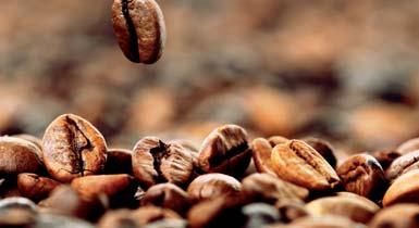 The finest highland beans (of the Arabica and Robusta variety in a ratio of 50/50) are carefully selected, blended to give the