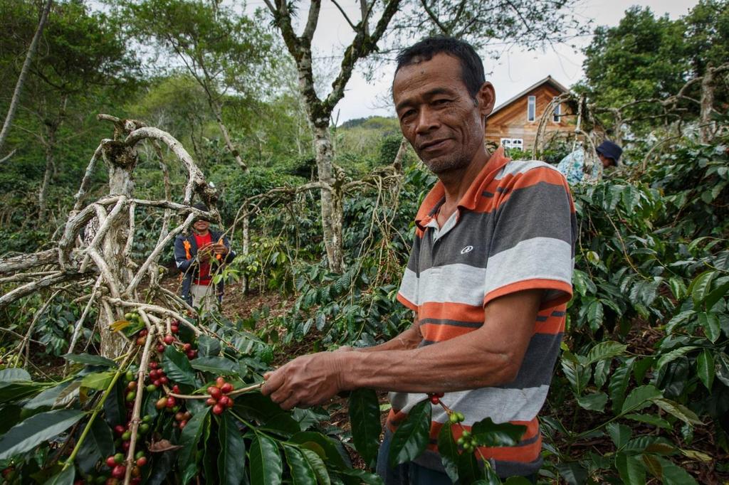 Assessing Coffee Farmer Household Income STUDY BY