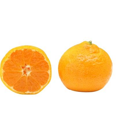 Specialty Citrus has arrived!