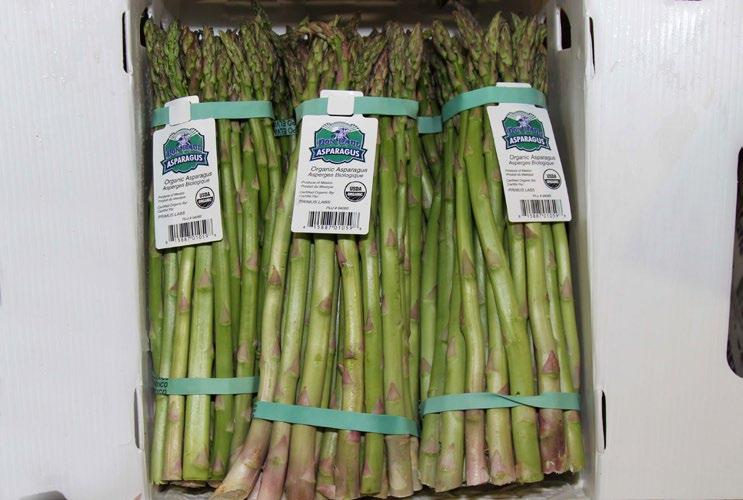 November 17 - December 1, 2017 MARKET NEWS 45 17 FOUR SEASONS PRODUCE OG ASPARAGUS Mexican Organic Asparagus is expected to be in adequate supply for Thanksgiving, but then volume may tail off a