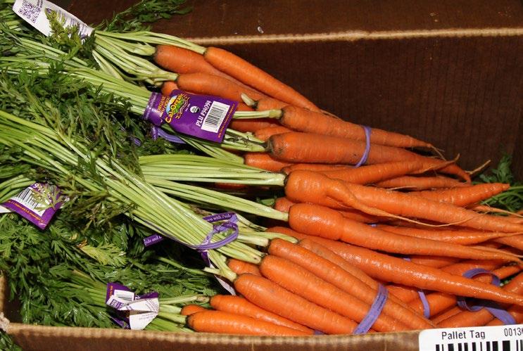 OG CARROTS While prices are still high, there is some light at the end of the Organic Carrot shortage tunnel.