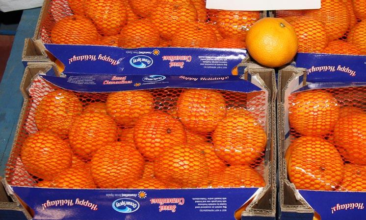 Satsuma Mandarins are now in peak season from California. We will be offering the Stem & Leaf Satsuma Mandarins, tree ripened by Family Tree Farms.