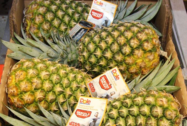 CV PINEAPPLES Conventional Pineapples are in peak season supply.