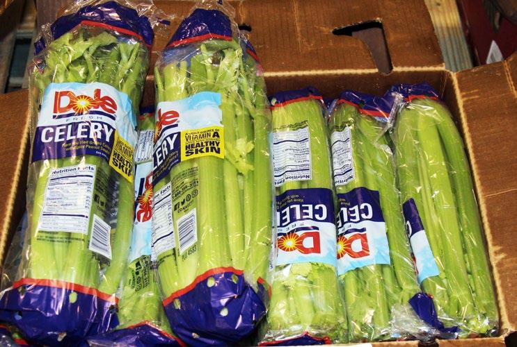 CV celery Celery supplies are steady out of California. Quality has been very nice.