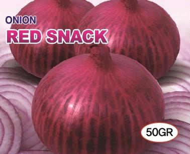 RED SNACK F1: A superior hybrid red onion A short very strong plant with narrow neck Very uniform build shape Bright red-violet coloured skin with medium pungency Excellent for fresh market and
