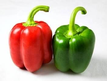 : Tin : Tin : Tin : Tin Tobacco Mosaic Virus (TM1) CALIFORNIA WONDER: A standard open pollinated variety with continuous picking Sweet pepper with green blocky fruits Maturity 80 days from