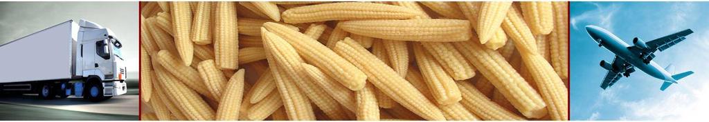 Nutritious Is Baby Corn? Baby corn is high in folate, a B-vitamin; four ounces provides 31% of the RDA.