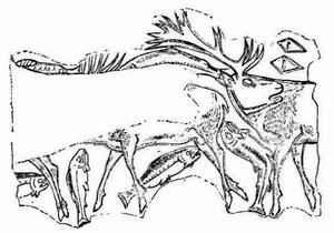 Reindeer And Salmon, Cut On A Piece Of Stag's Horn For centuries it would be much hotter than it is to-day, then a long period of cold weather would set in, there would be endless snow-storms, till a