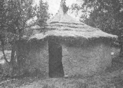 Early Iron Age Hut - The walls are of clay over basket-work, the roof of thatch. It has two "windows.