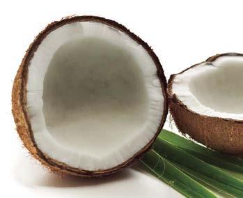 coconut Sip the tropical taste of paradise; fragrant, flavorful and creamy rich with shredded coconut.