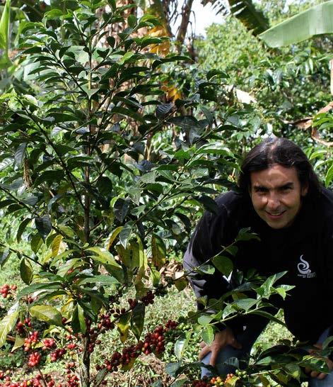 santuario: THE DESIGNER S FARM The story of the Santuario farm is a blueprint for the creation of exceptional coffees. It is also a place that almost never was.