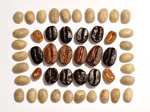roast. Vee s Gourmet-Roast is one of Vee s best selling blends. It comes with long lasting fruity flavours dominated by roasted nuts and chocolate. Filter Coffee, Latte Macchiato.