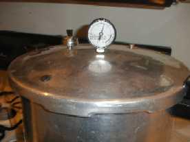 When all the jars that the canner will hold are in, put on the lid and twist it into place, but leave the weight off (or valve open, if you have that type of pressure canner).