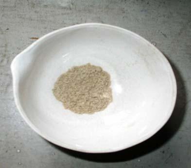 Seed Seed powder: Macroscopy