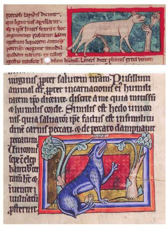 a) b) Fig. 3: The lynx voiding a lyncurium from mediaeval bestiaries. a) Bodleian Library MS Douce 88ii folio 8 recto; b) Bodleian Library MS Bodley 764 folio 11 recto.
