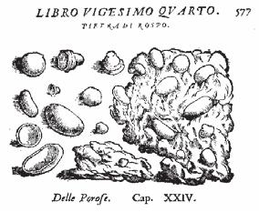 Fig. 20: "Pietra di Rospo" from Imperato (1672). a) b) Fig.