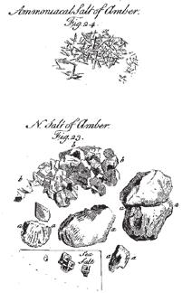 Fig. 37: Salt of Amber crystals from Monro (1767, plate 24 figs. 23-24). a "thin limpid oil" and finally a thicker oil.