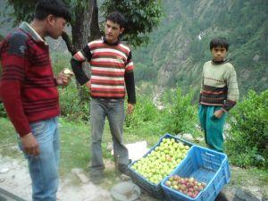 Other attractive places nearby Chaubatia are the Government Apple Garden and the Fruit Research Center.