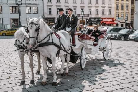 Philosophy: Vienna internationally famous for gorgeous sights, incomparable charm, traditional cuisine and the nostalgic horse-carriages Since January 2017 the