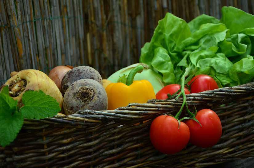 Organic produce continued.