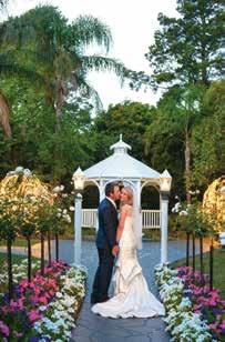 amidst lush green manicured lawns, creating a mesmerizing backdrop for your vows and all your wedding