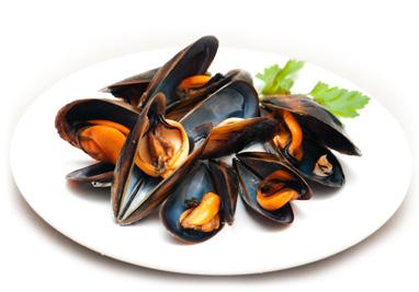 Mussels are particularly rich in Omego-3 Phosphorus, selenium and magnesium, elements that help to reduce blood pressure and very favorable on cardiovascular health.