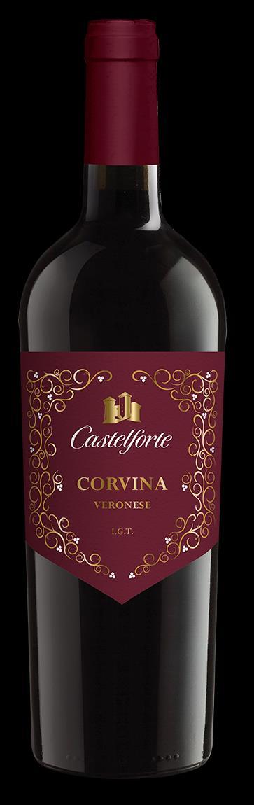 Corvina Red still wine Veronese I.G.T.