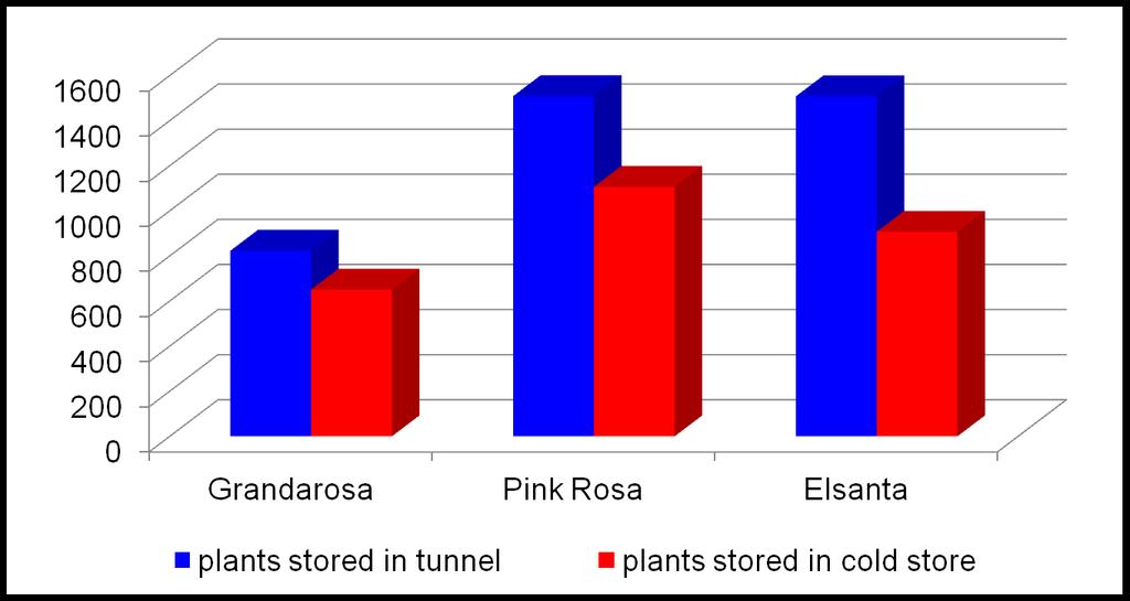 EXP. I: PRODUCTION FOR EARLY FRUIT RIPENING UNDER HIGH TUNNEL (2 nd harvest of plants used previously for late ripening and stored during winter)