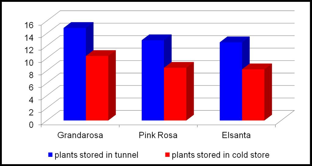 EXP. I: PRODUCTION FOR EARLY FRUIT RIPENING UNDER HIGH TUNNEL (2 nd harvest of plants used previously for late ripening and stored during