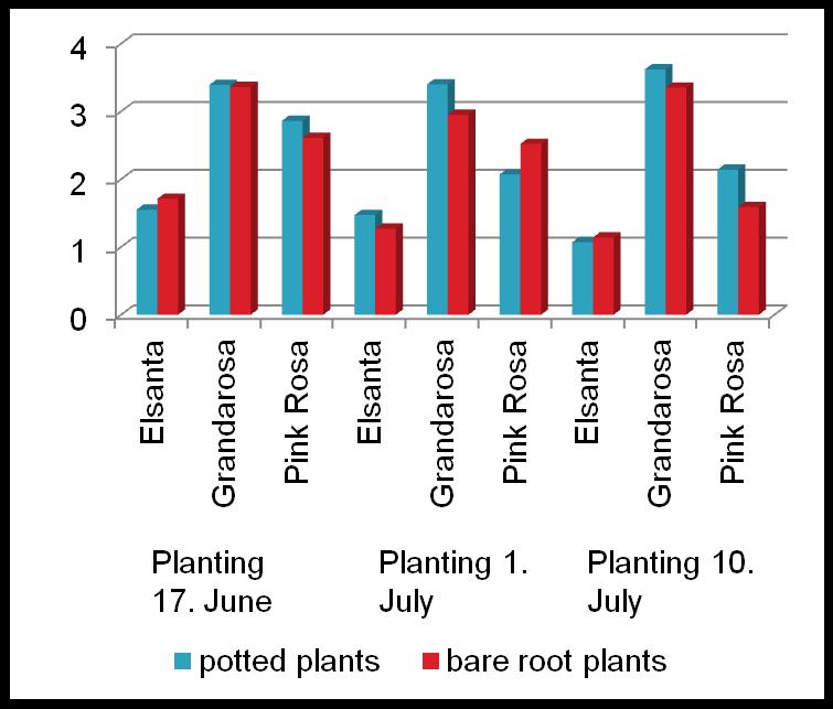 EXP. III: PRODUCTION FOR LATE FRUIT RIPENING BY LATE PLANTING OF FRIGO A PLANTS IN THE OPEN FIELD FRUIT FIRMNESS (N) 2012 2013 In both years the