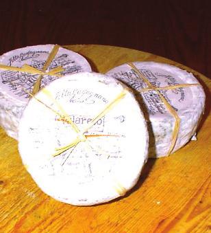 Producer: COLLA SpA Emilia-Romagna Cow 14-18 months Case size: Four 9 lb pieces GL0015 LUCIFERO Lucifero is a blue cheese produced with pasteurized milk from a farm in Pagazzano.