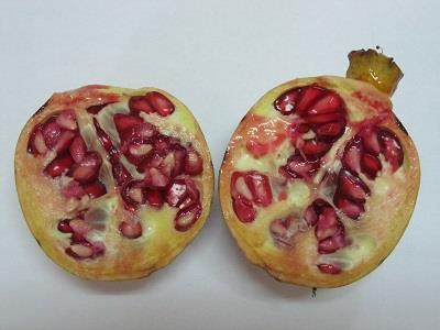 Pomegranates are commonly eaten fresh or made into juice. Although the plants require some water, they produce superior fruit when grown in low-moisture environments.