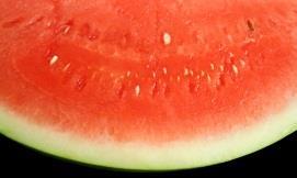 Rockmelon Cucumis melo A large-fruited variety