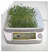 After 24 hours, press the sprouting button twice (24 hours) to grow fresh shoots