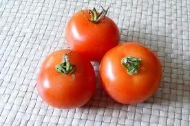 ) per exhibit or five small variety tomatoes (as cherry or pear tomatoes) per exhibit.