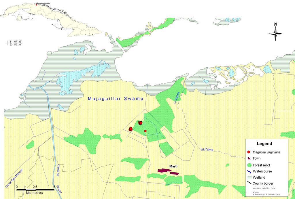 Issue 89 Fig. 1. Location of population of Magnolia virginiana in Majaguillar Swamp, Martí Town, Matanzas province, Cuba. ends drainage canal systems have been built.