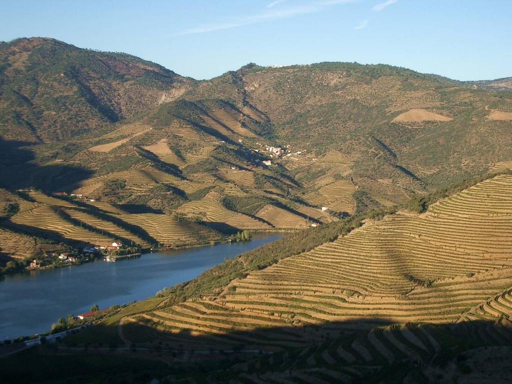2008 FTLOP Tour Dates Announced 2008 FORTIFICATION TOUR: May 5 th -11 th 2008 PORT HARVEST TOUR: Sept. 29th - Oct. 5 th A SLICE OF THE BEAUTIFUL DOURO RIVER VALLEY BY ROY HERSH OCT.