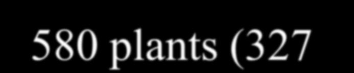 Methods - censusing 580 plants (327 humifusa, 253 stricta)
